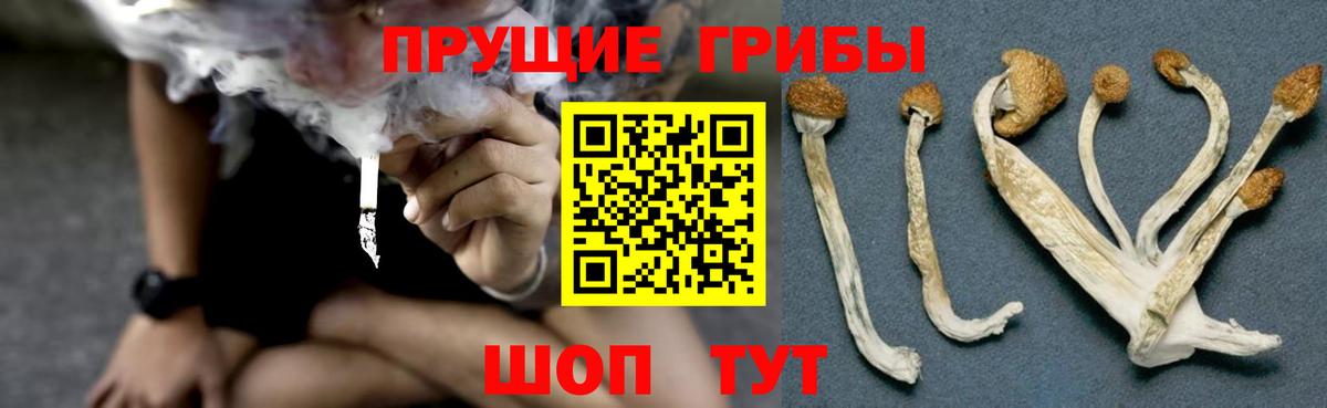 Урай  Псилоцибиновые грибы мицелий  Вход с VPN  Галлюциногенные грибы мицелий 